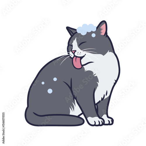Gray cat licking itself clean after bath with soap bubbles  