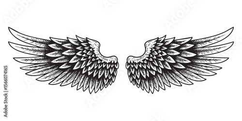 Angel Wings Vector Engraving Illustration