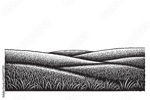 Grassy Hills Landscape Vector Engraving Illustration