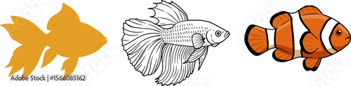 Aquarium fish types goldfish betta clownfish vector illustration educational purposes for kids learning