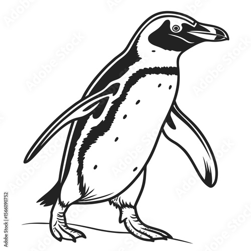 Black and white illustration of a walking penguin bird animal