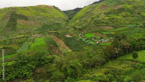 Wallpaper Mural Neat vegetable terraces, scattered homesteads and winding tracks blanket a steep valley below Mount Apo, while low clouds drift over the vivid green-brown slopes. Torontodigital.ca