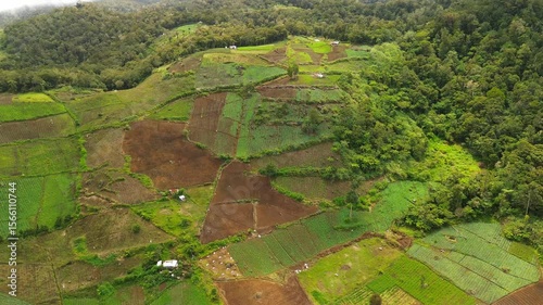 Wallpaper Mural Steep foothill farms near Mount Apo form a colourful mosaic of green vegetables and rich soil, bordered by dense rainforest under passing cloud. Torontodigital.ca