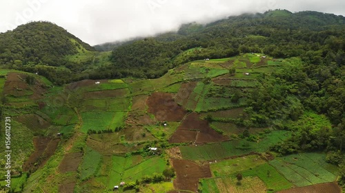 Wallpaper Mural Steep foothill farms near Mount Apo form a vivid quilt of green and brown plots, dotted with small huts and bordered by dense forest as low clouds drift along the ridgeline. Torontodigital.ca
