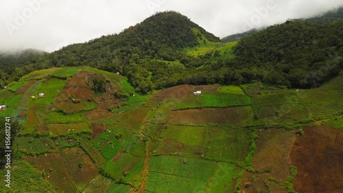 Wallpaper Mural Steep foothills below Mount Apo display a vivid quilt of green vegetable beds and freshly tilled earth, dotted with huts and traced by winding paths beneath a drifting cloud cap. Torontodigital.ca