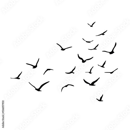 A flock of flying silhouette birds. Black on white background. Vector