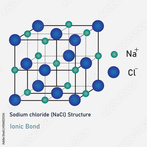 The infographic of sodium chloride (NaCl) structure present the ionic bond.