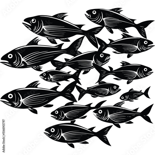 black and white fishes