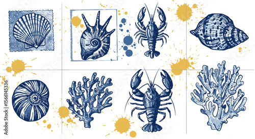 Nautical vector illustration of marine life with shells and coral in hand drawn style for design and decoration