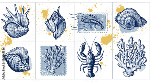 Vintage marine life vector illustration with shells and coral for beach themed designs