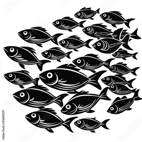 black and white fishes