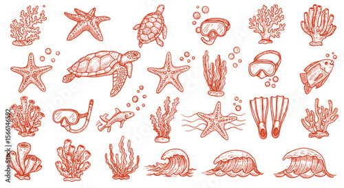 Underwater adventure vector illustration featuring marine life and snorkeling elements for posters or cards