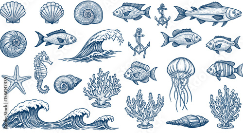 Marine life and nautical elements vector illustration in engraved style for design and decor