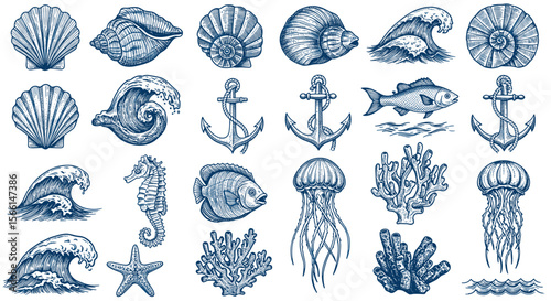 Nautical vector illustration with seashells, waves, anchors, and marine life in hand drawn style for ocean-themed designs