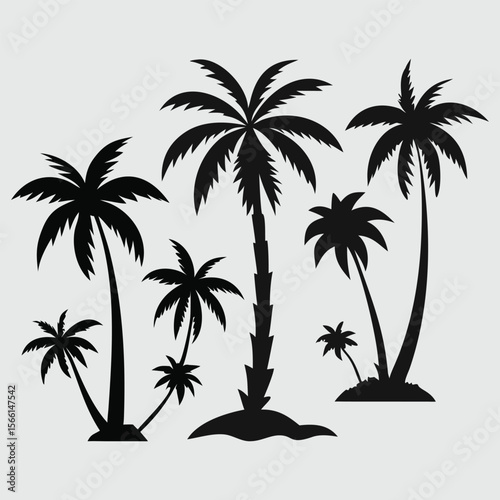 Palm Tree Silhouette Set – Tropical Tree Icons on White Background