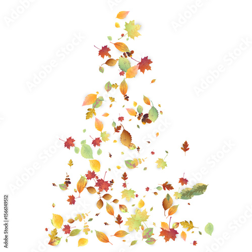 Leaves Falling Autumn Foliage Chaotic Leaf Flying