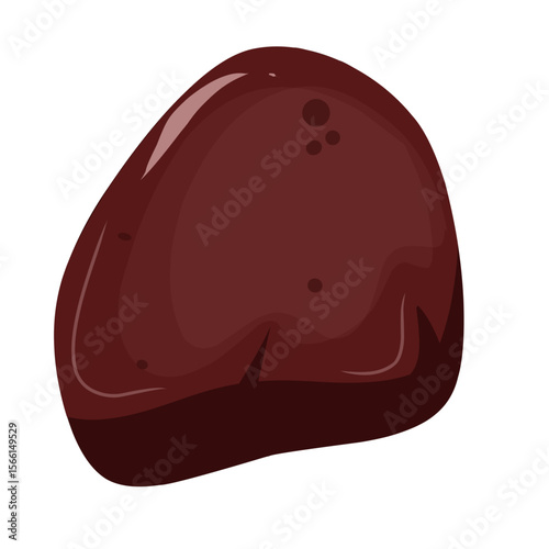 Beef liver illustration,vector beef cut