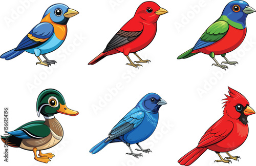 Beautiful collection of american bird illustrations for design projects