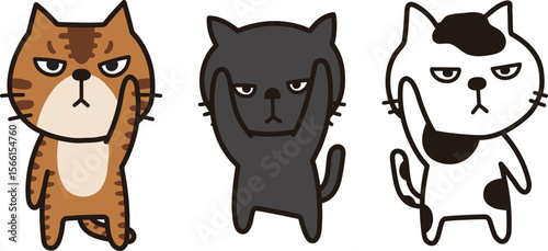 猫