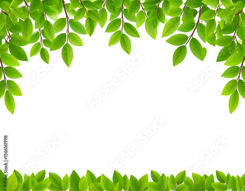 Lush green leaves frame