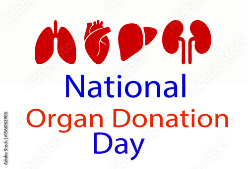 A vector of national organ donation day template