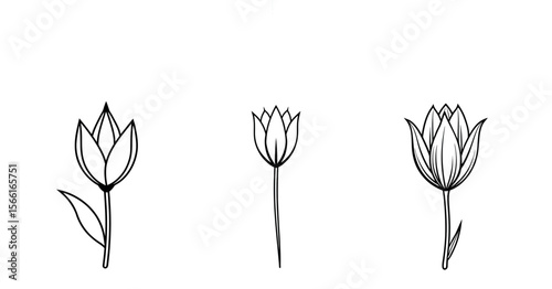 Tulip Vector Silhouette, Tulip Flower, Minimal Smooth Vector Icon for Logo, Print, and Decoration