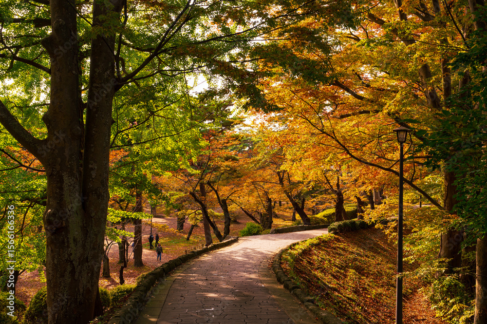 Naklejka premium 秋田の千秋公園、秋景色