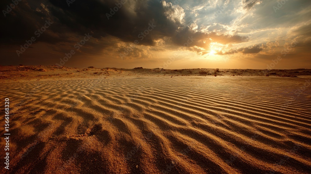 Naklejka premium Golden Desert Sunset with Rippling Sand Dunes