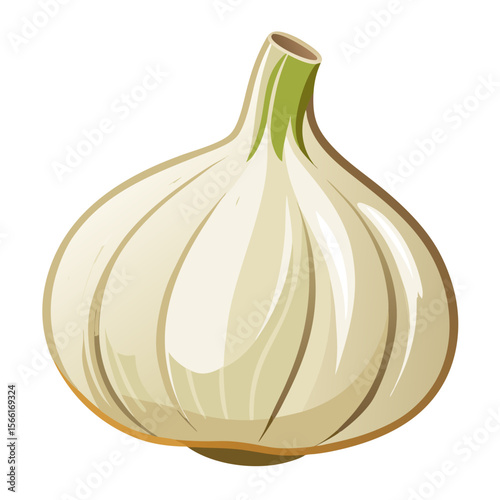 onion isolated on white