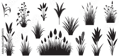 set of bush grass shrub herb silhouette vector transparent background , use for work, design, banners,