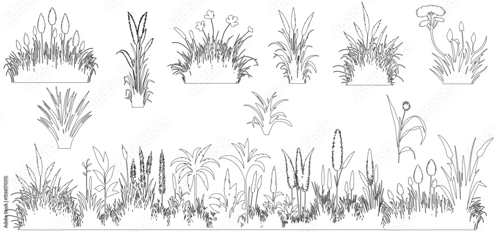 Fototapeta premium Plant elevation line silhouettes outline - grass, shrub, herb, tree set