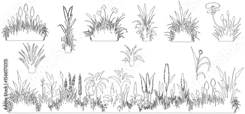 Plant elevation line silhouettes outline - grass, shrub, herb, tree set