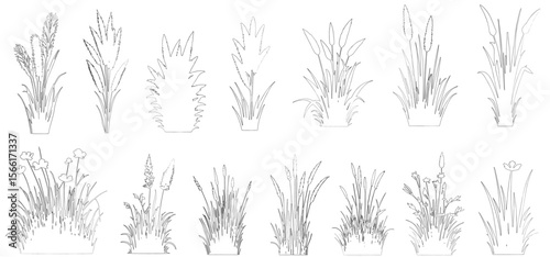 Plant elevation line silhouettes outline - grass, shrub, tree big set vector. isolated on white background