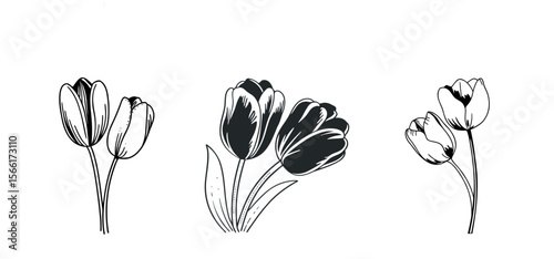 Tulip Vector Silhouette, Tulip Flower, Minimal Smooth Vector Icon for Logo, Print, and Decoration