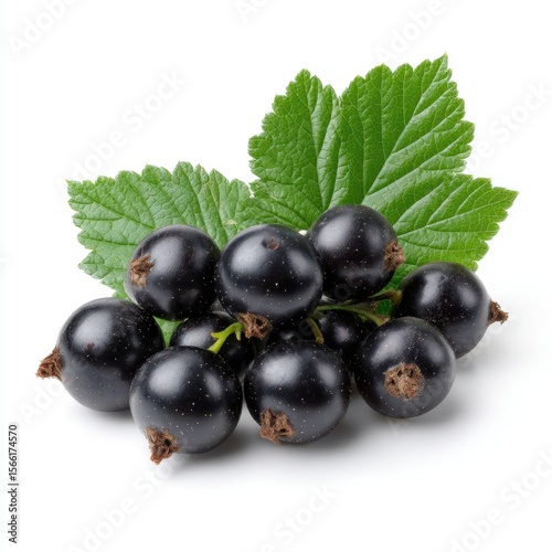 Cluster of ripe blackcurrants with green leaves isolated on white background