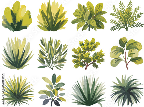 Collection of hand drawn green shrubs, garden bush plants, foliage illustration, decorative botanical elements, isolated tropical leaves, landscaping design flat vector illustration