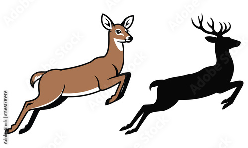 deer vector illustration