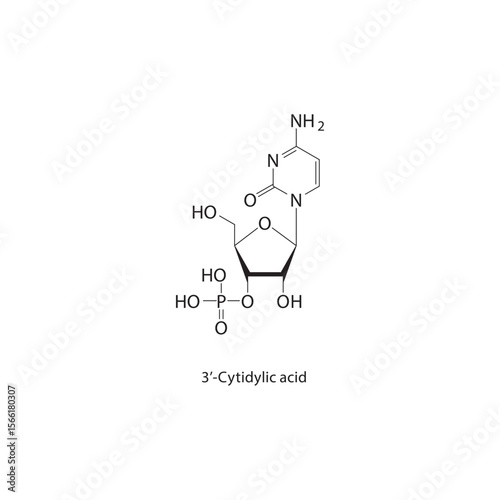 3’-Cytidylic acid skeletal structure. Nucleotide compound schematic illustration. Simple diagram, chemical formula.