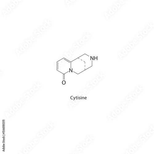 Cytisine skeletal structure. Alkaloid compound schematic illustration. Simple diagram, chemical formula.