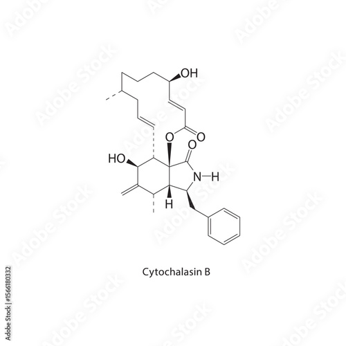 Cytochalasin B skeletal structure. Mycotoxin compound schematic illustration. Simple diagram, chemical formula.
