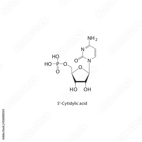 5’-Cytidylic acid skeletal structure. Nucleotide compound schematic illustration. Simple diagram, chemical formula.