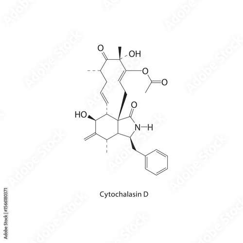 Cytochalasin D skeletal structure. Mycotoxin compound schematic illustration. Simple diagram, chemical formula.