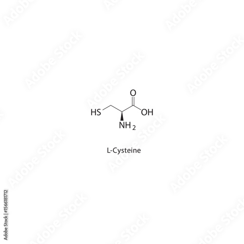 L-Cysteine skeletal structure. Amino acid compound schematic illustration. Simple diagram, chemical formula.