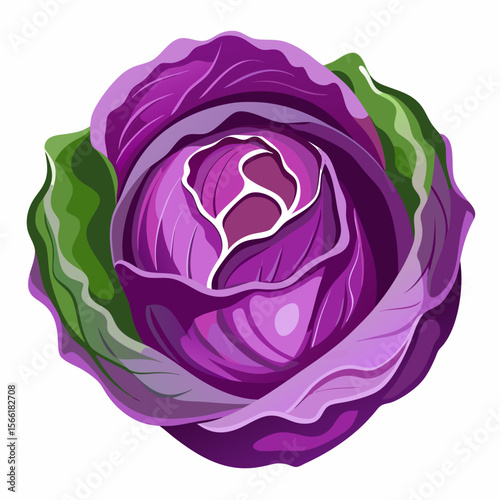 red cabbage isolated on white