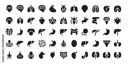 Collection of black and white human organ icons arranged in a grid pattern on a white background
