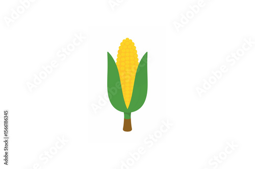 Corn vector on white background.01