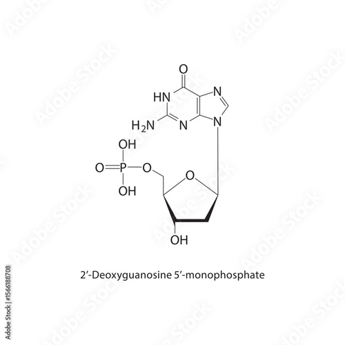 2’-Deoxyguanosine 5’-monophosphate skeletal structure. Nucleotide compound schematic illustration. Simple diagram, chemical formula.