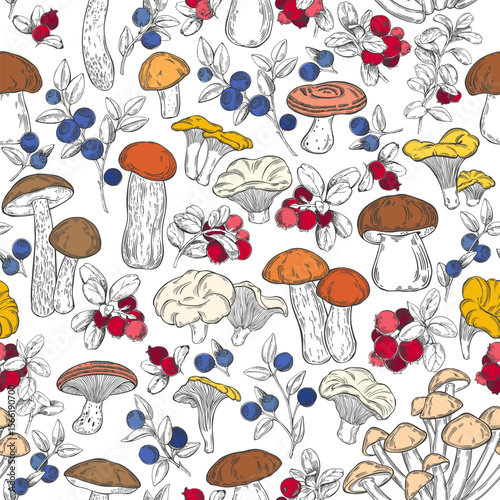 Forest mushrooms, lingonberry and blueberry branches on white. Stylish nature background. Vector seamless pattern. Perfect for design templates, wallpaper, wrapping, fabric, print and textile. 