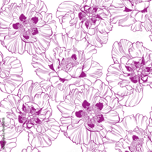 Colored outlines of peony flowers on white. Floral vector seamless pattern.  Perfect for design templates, wallpaper, wrapping, fabric, print and textile. 