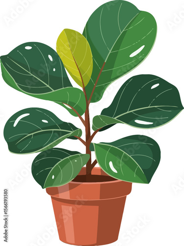 Vibrant Fiddle Leaf Fig in Terracotta Pot Vector on White or Transparent Background